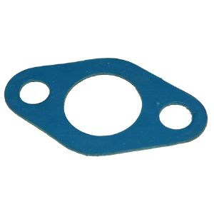 Gasket C12V190.01.01